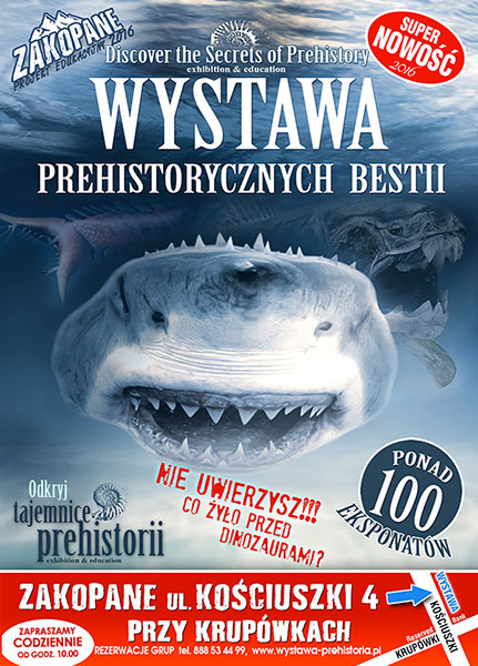 Jasrzębia Góra atrakcje 2016 wystawa / Co mozna zwiedzić? Odpoczynek, relaks i rekreacja. Gry i zabawy dla dzieci. 